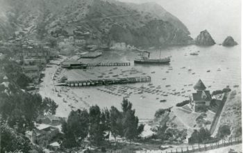 75.120.74, Avalon Bay, Looking North, 1910
