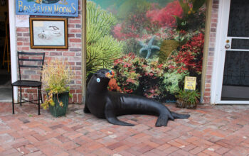 Seal with Mask