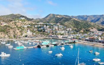 Catalina-Harbor