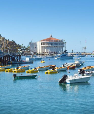 Catalina-Harbor-Boats