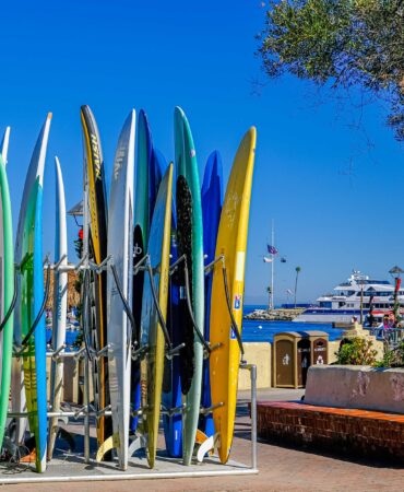 Catalina-Surf-Board